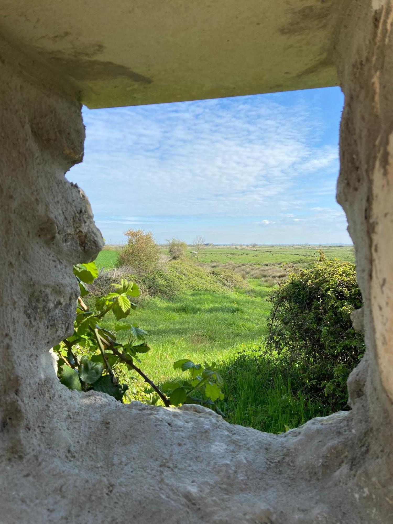 Chateau De Feusse Saint-Just-Luzac Esterno foto