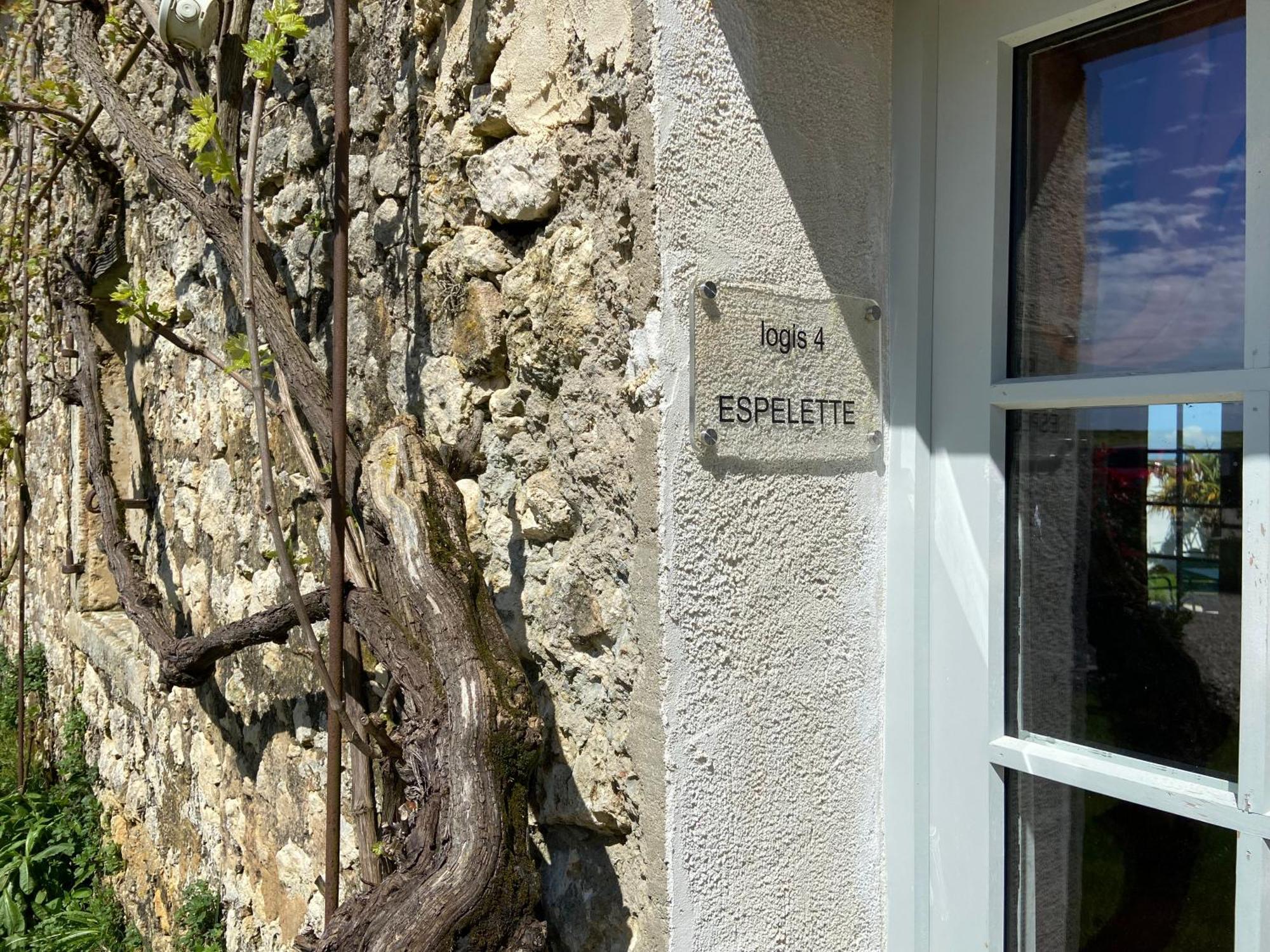 Chateau De Feusse Saint-Just-Luzac Esterno foto